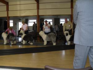 The Midland OES Open Show