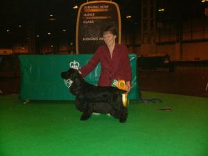 Freddie @ Crufts 2009
