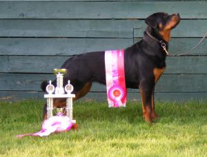 Duffy at 9 months