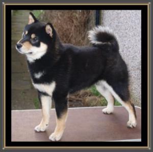 YOSHI 10 MONTHS OLD