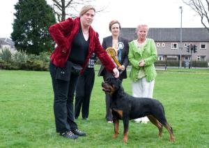 Kora wins Best Puppy in Show