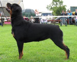 Meggie at 17 Month