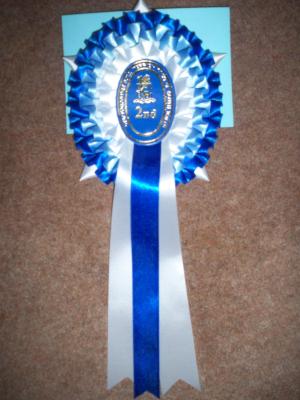 2nd Place in Junior bitch