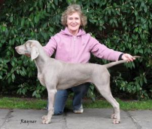 N.E.W.S. Champ. Show