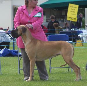 Alvenia waiting to be judge, what a windy day!!!