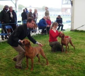 Mila & Claire In For Best Of Breed