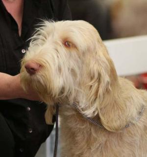 Pearl at the National