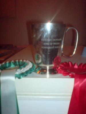 Winning Trophy Tankard
