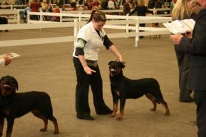 Gertie & Charlie