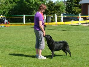 RAINE AT SHOW.