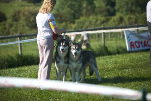 Mina and Lucien in Brace