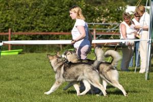 Mina and Lucien in Brace