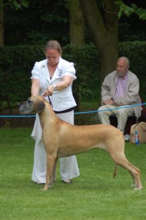 Phoebe waiting to be judged