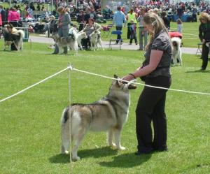 Faona at SCCA