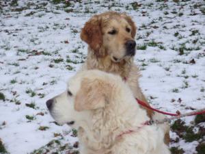 Molly and Ellie
