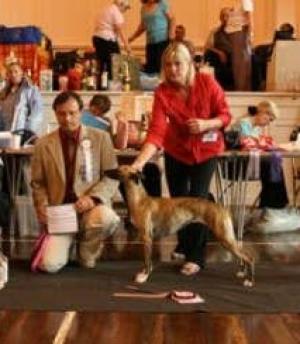 Barnesmore Red Rose at Palmik JW