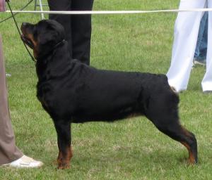 Meggie at Three Counties 09