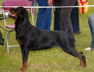  Flos at Three Counties