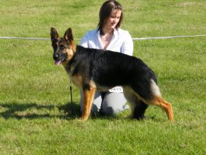 Obi at Show