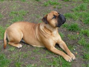 WHAT A BEAUTIFULL GIRL