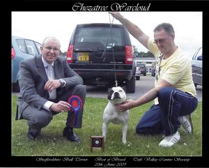 Best of Breed SBT Teifi Valley C.S.