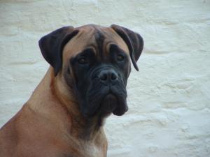 Bunty