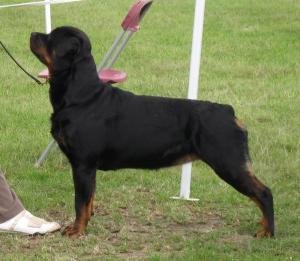Meggie at Three Counties 09