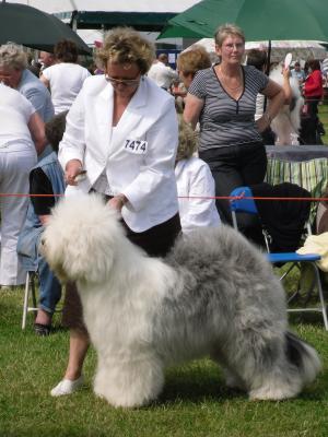 Blackpool Champ Show - 28/06/09