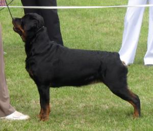 Meggie at Three Counties 09