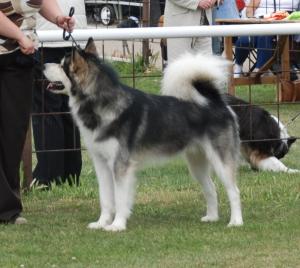 Oakley