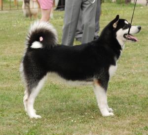 6 months old