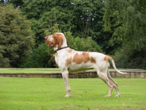Gioia, enjoying one of our lovely walks