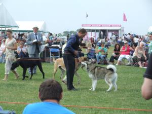 Blackpool Championship Show 2009