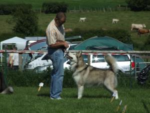 AMCUK Open Show 2009