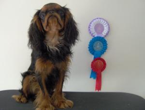 timo with his rosettes