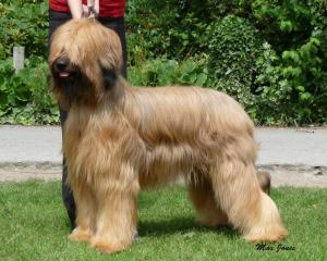 Stormsmist ici est dakota