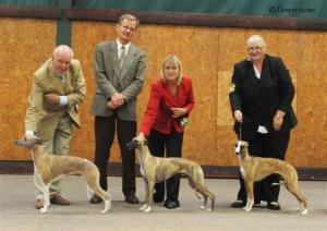 Barnesmore Red Rose at Palmik JW (centre) RBCC