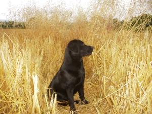 'Ella'  at  exactly 6 months