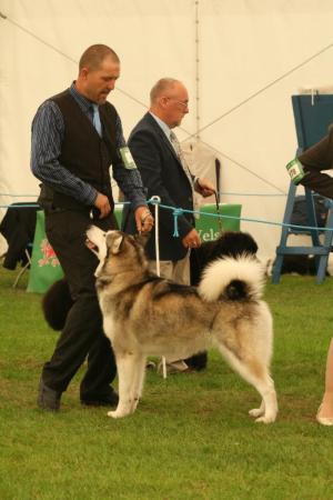 Chinook and Mark