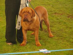 BRANDO AT 7 MONTHS AT SKC AUG 09