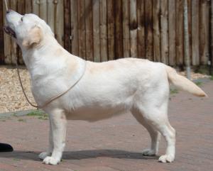 BREEZE / BLISS AS NOW NAMED 10MTHS OLD.