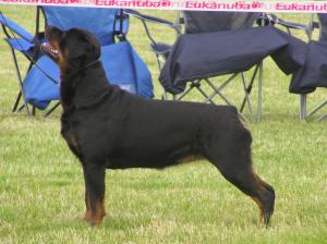 Meggie 2 years