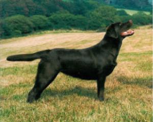 Breeze aged 9 months