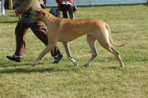 Phoebe doing her stuff