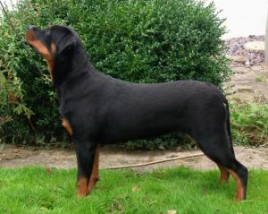 Louise at 7 months