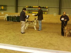 Mark & Chinook getting BIS 2009