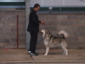 Mark & Chinook 2009
