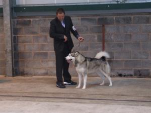 Mark & Misty SWKA 2009