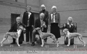 Jodie winning Best Puppy in Show