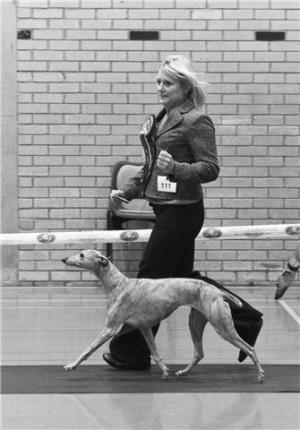 Jaz winning Best Veteran in Show